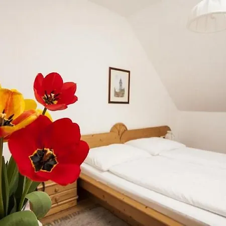 Winzerhof - Gaestehaus Stoeger Dürnstein Kamer foto