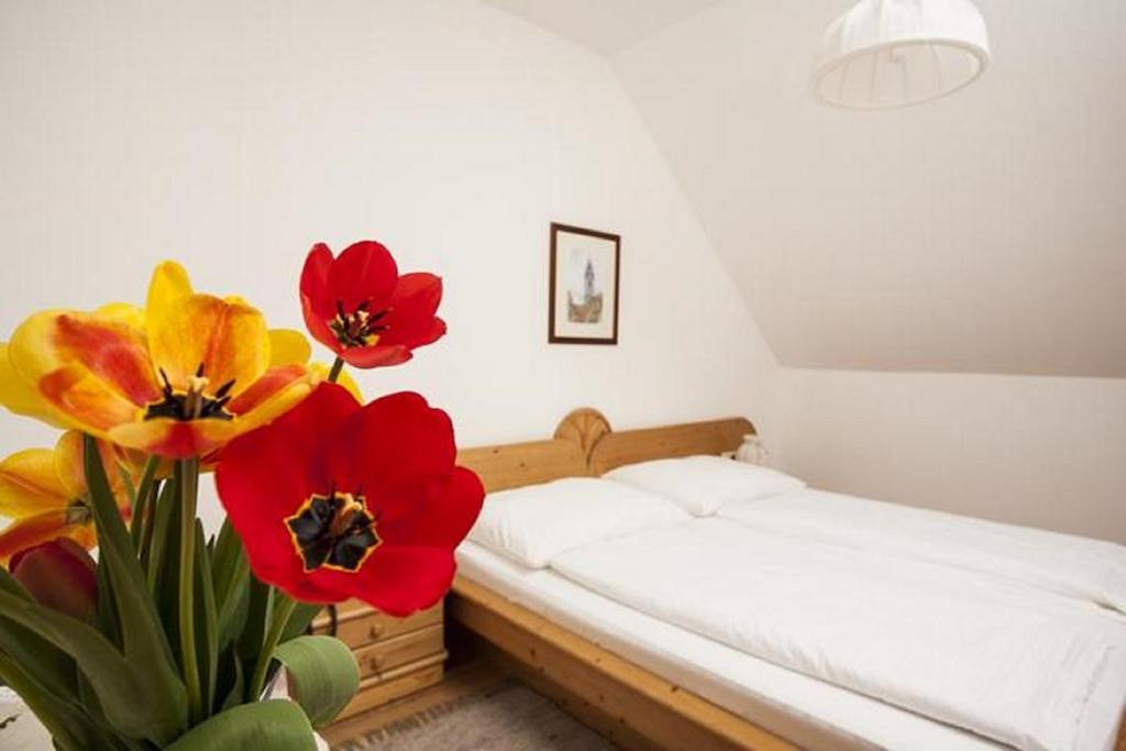 Gasthuis Winzerhof - Gaestehaus Stoeger *